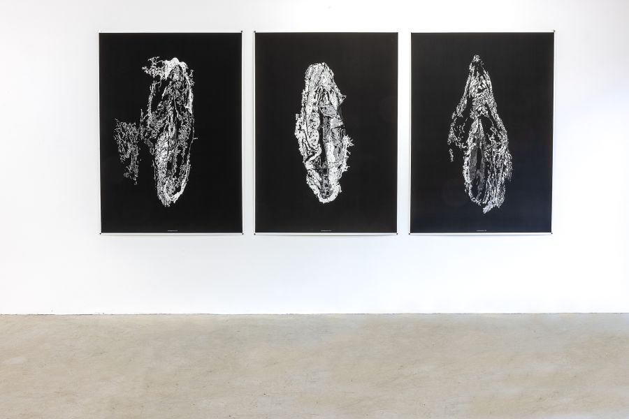 |  | ©DAS ESSZIMMER