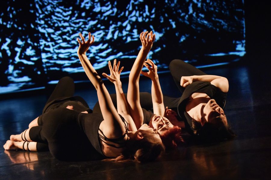 Abschlussaufführung Theaterpädagogik Einblick in die Abschlussaufführung der Akademie Off-Theater nrw